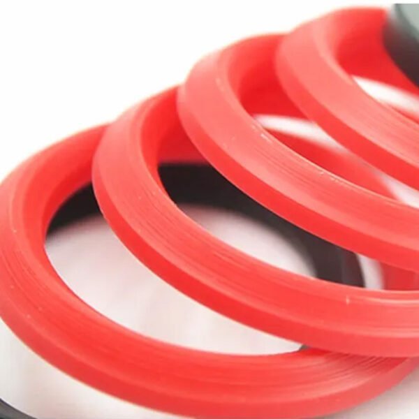 Lip-seal-V-type-ring-1