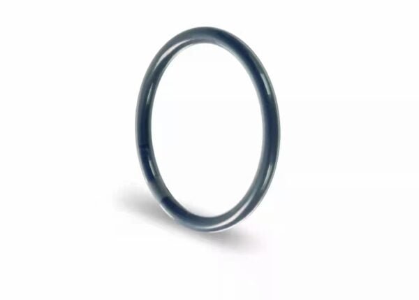 PTFE Encapsulated Coated O-ring 1