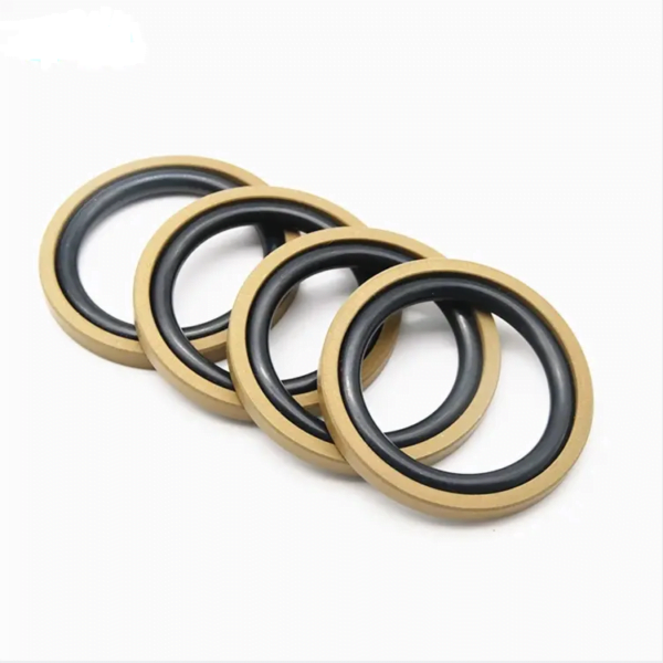 SPGO Glyd Ring Piston rod Seal 2