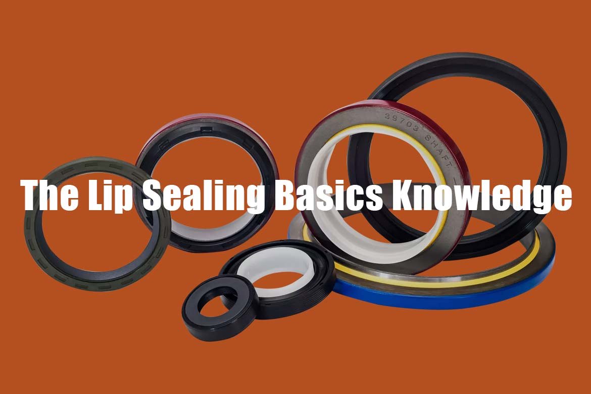 Lip Seal Knowledge - 1 Authoritative Article To Clarify - STERUBB Rubber